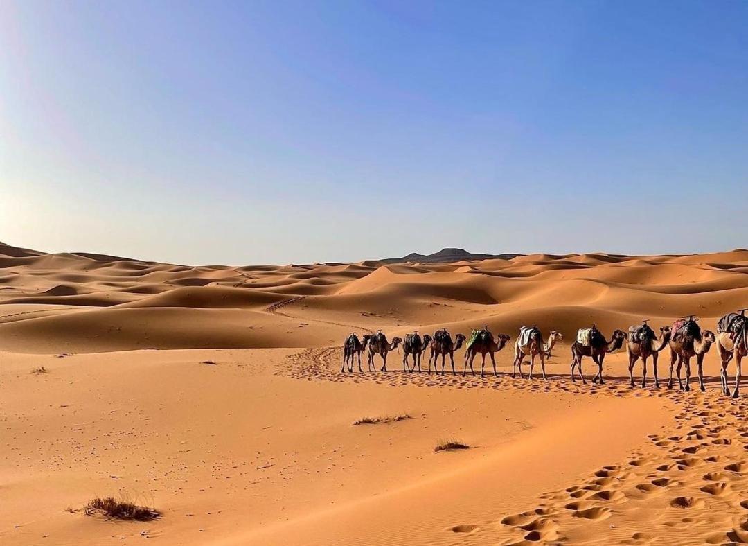 Chegaga Desert Trips Camp M'Hamid Exterior foto