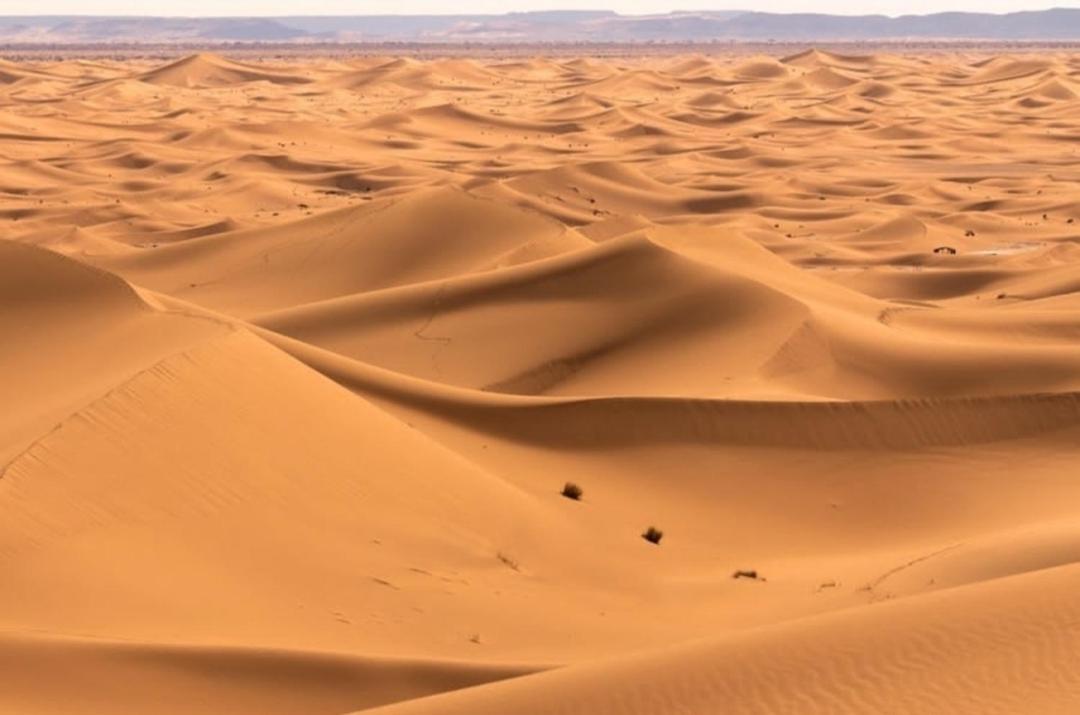 Chegaga Desert Trips Camp M'Hamid Exterior foto